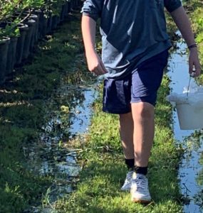 proper fotwear for blueberry picking