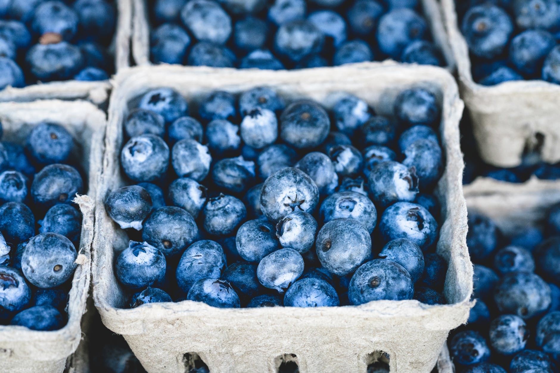 blueberry fruit on gray container