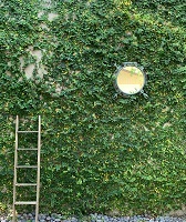 Nautical Porthole Mirror