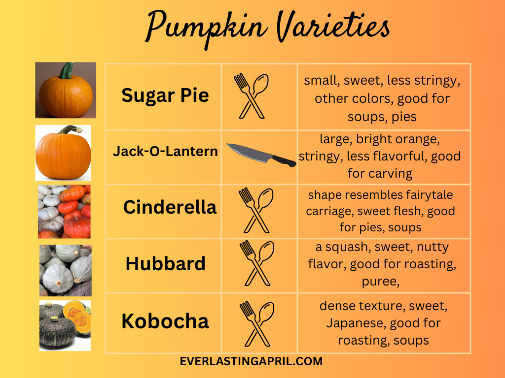 a graphic image of a downloadable chart of pumpkin varieties