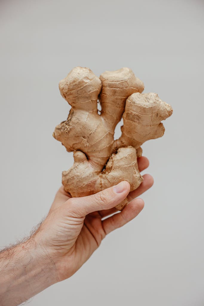 A Person's hand Holding Fresh Ginger