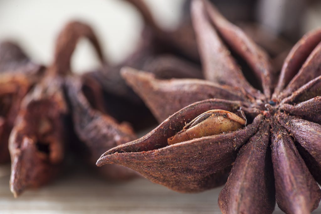 Close-up of Star Anise