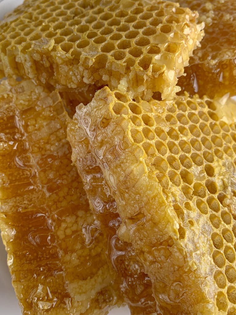 beeswax honeycomb filled with honey