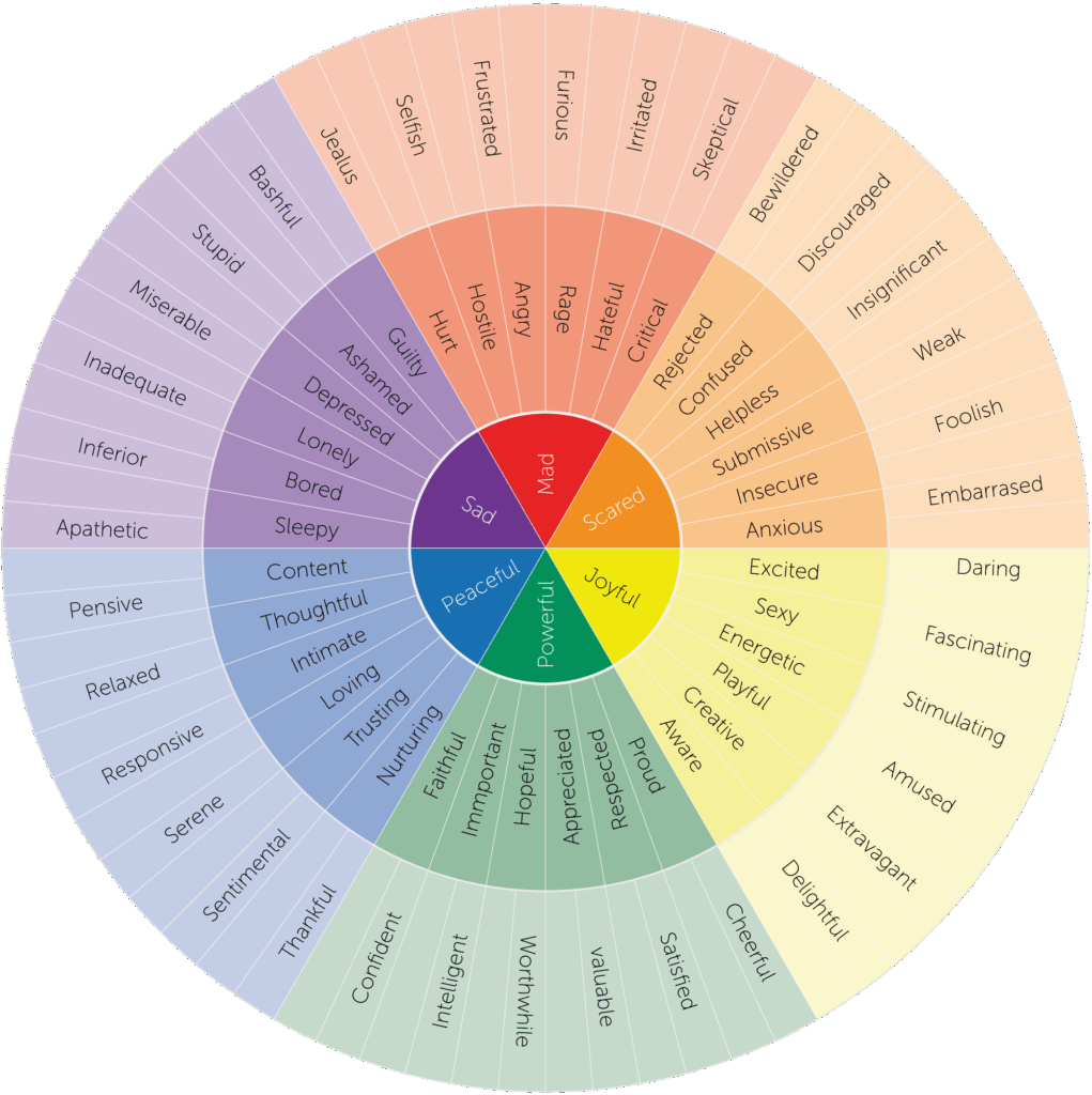 graphic of the feelings wheel used to teach how to feel emotions